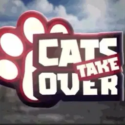 Cats take over